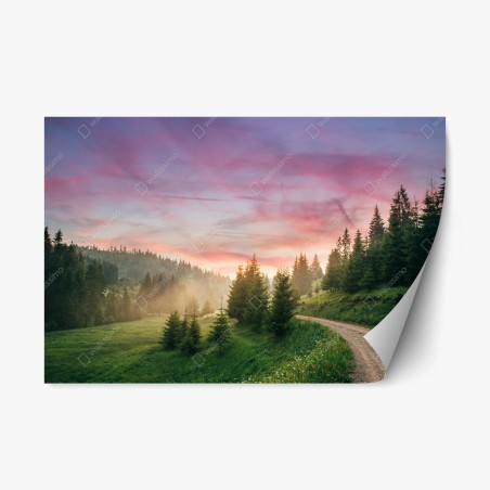 Pegatina reposicionable sendero entre pinos al atardecer – Pixers®