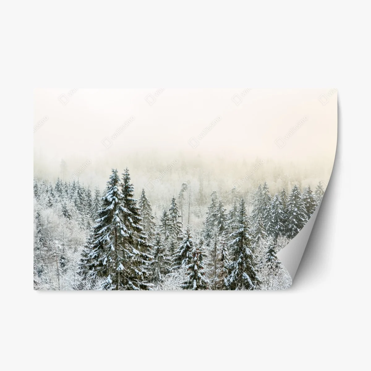 Pegatina reposicionable bosque nevado entre niebla invernal – Pixers® Pegatina reposicionable bosque nevado entre niebla invernal – Pixers®