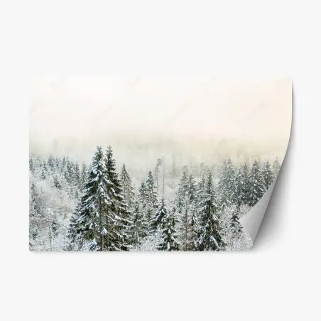Pegatina reposicionable bosque nevado entre niebla invernal – Pixers®