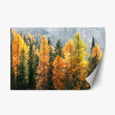 Pegatina reposicionable bosque otoñal dorado en la montaña – Pixers®