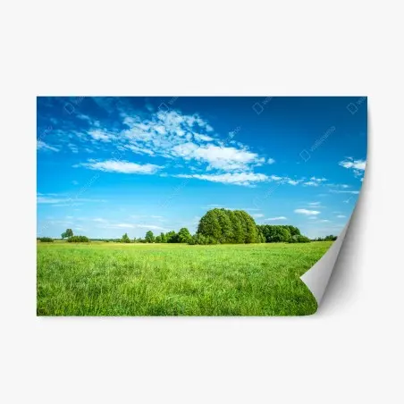 Pegatina reposicionable pradera bajo cielo azul – Pixers®