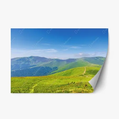 Pegatina reposicionable camino hacia los picos Stoj y Velykyy Verkh en Borzhava, Ucrania – Pixers®