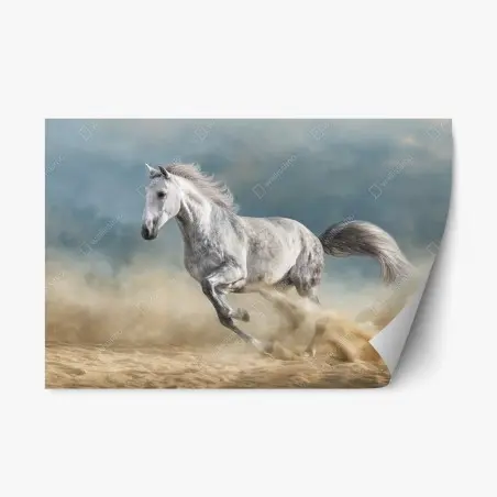 Pegatina reposicionable elegancia equina en pleno galope – Pixers®