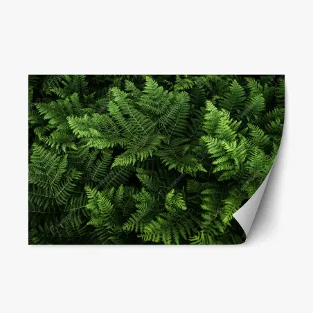 Pegatina reposicionable manto de helechos verdes – Pixers®
