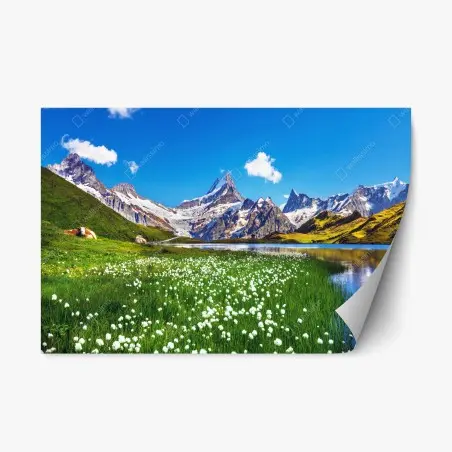 Pegatina reposicionable paisaje alpino con pradera y lago cristalino – Pixers®