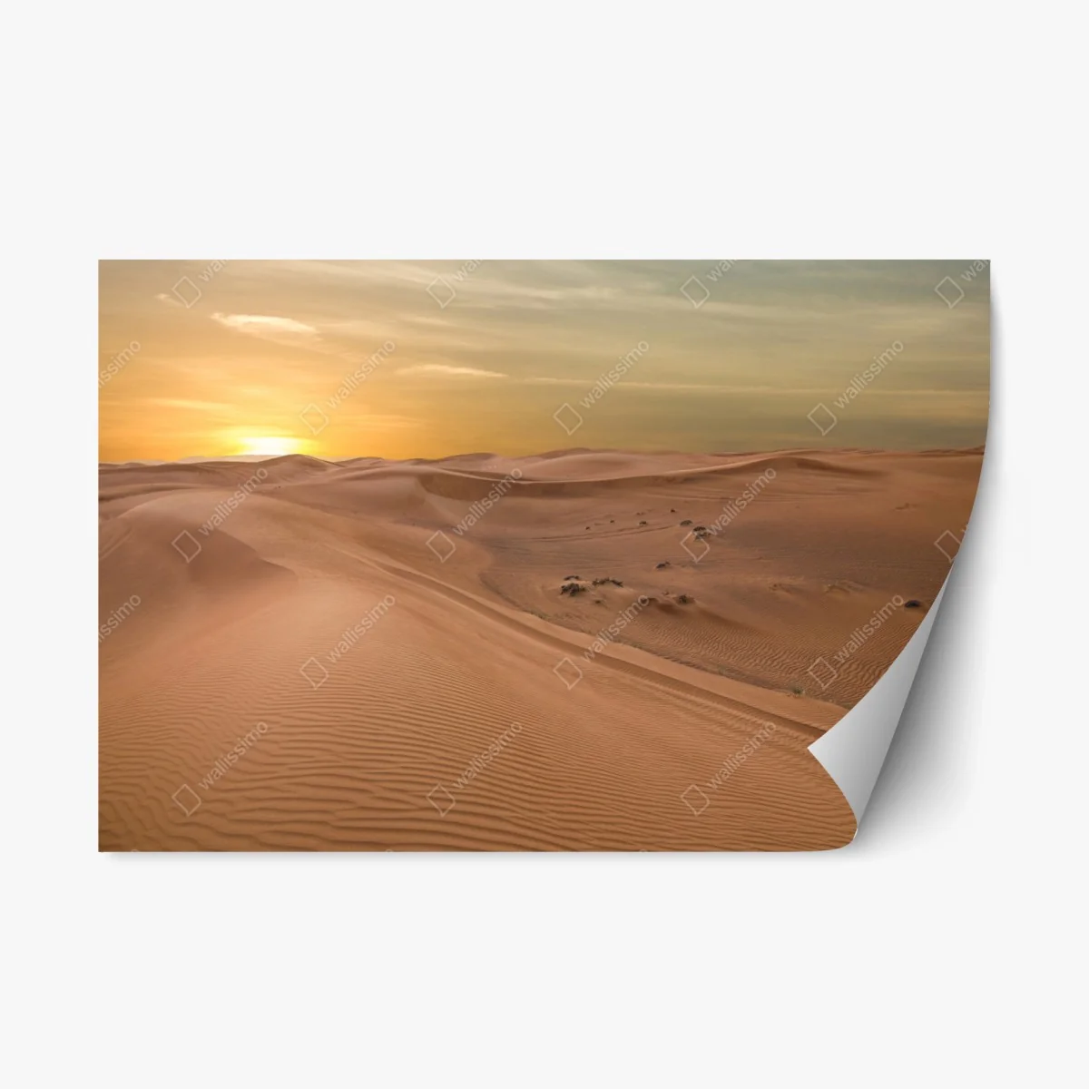 Pegatina reposicionable atardecer en las dunas de Emiratos Árabes Unidos – Pixers® Pegatina reposicionable atardecer en las dunas de Emiratos Árabes Unidos – Pixers®