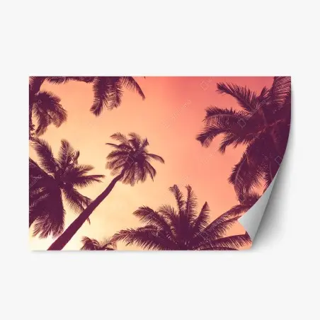 Pegatina reposicionable atardecer tropical entre palmeras – Pixers®