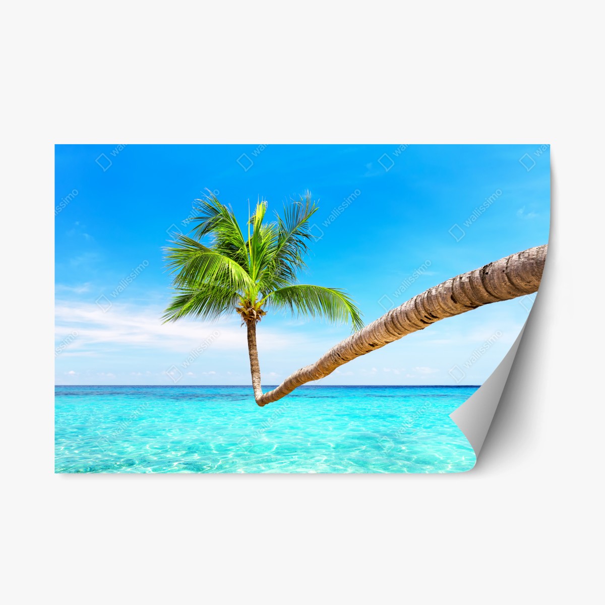 Pegatina reposicionable paisaje tropical de Punta Cana – Pixers®