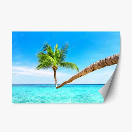 Pegatina reposicionable paisaje tropical de Punta Cana – Pixers®