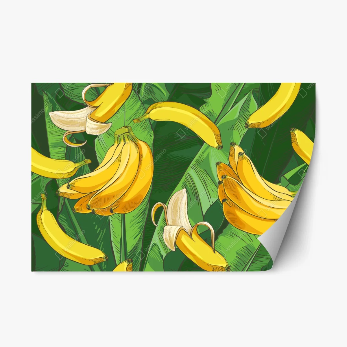 Pegatina reposicionable diseño tropical de plátanos y hojas verdes – Pixers® Pegatina reposicionable diseño tropical de plátanos y hojas verdes – Pixers®