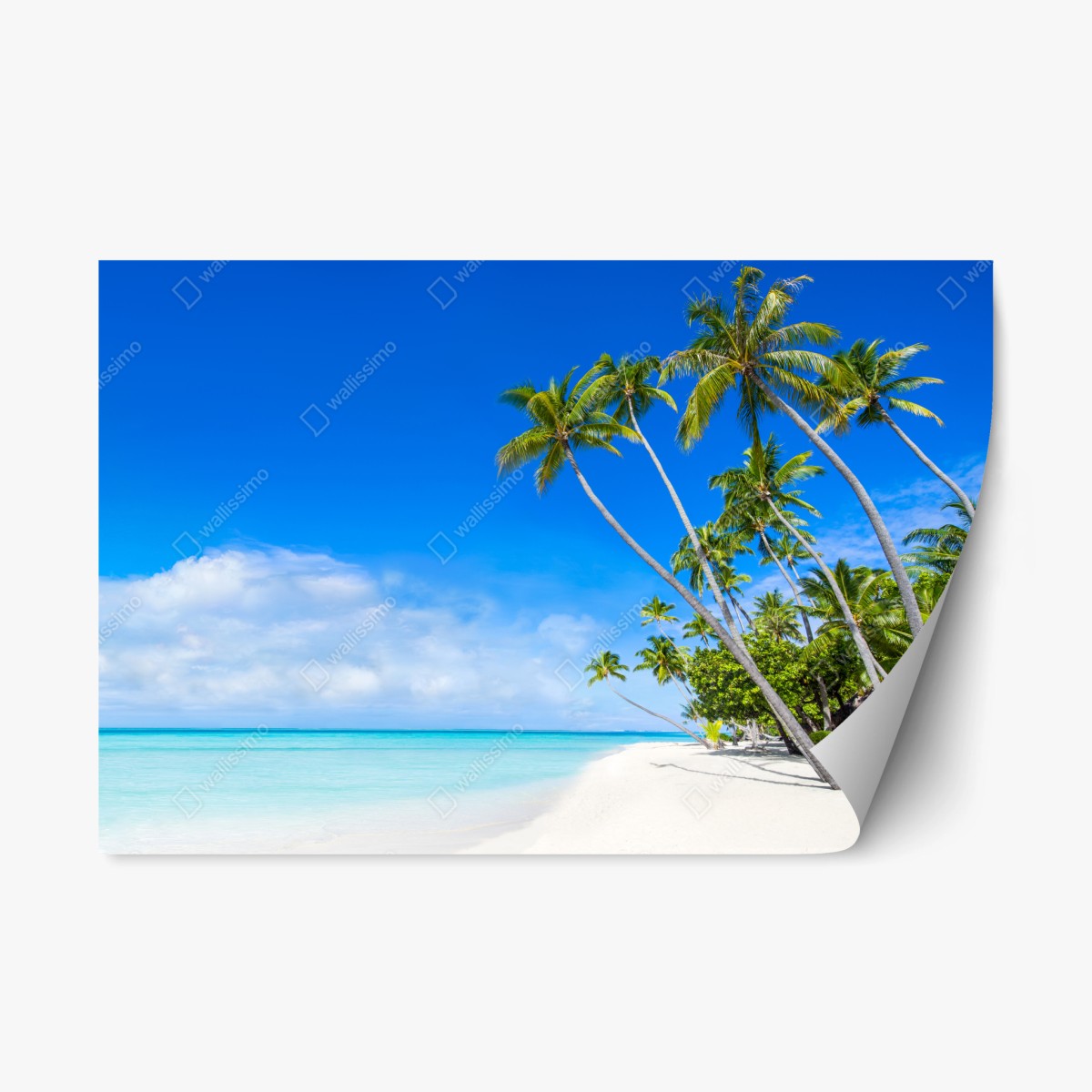 Pegatina reposicionable playa tropical con palmeras y aguas turquesas – Pixers®