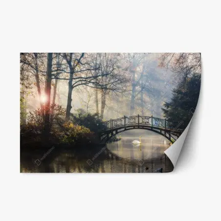 Pegatina reposicionable amanecer de otoño con puente y cisne – Pixers®