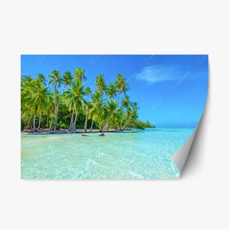 Pegatina reposicionable escena tropical con palmeras y mar turquesa – Pixers®