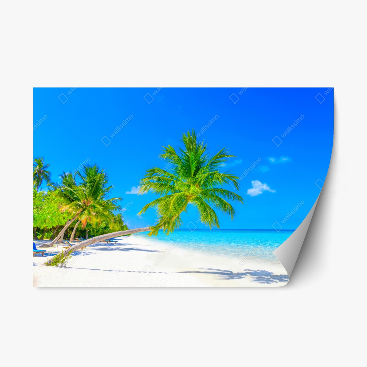Pegatina reposicionable paraíso tropical en Maldivas – Pixers®