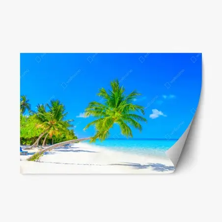 Pegatina reposicionable paraíso tropical en Maldivas – Pixers®