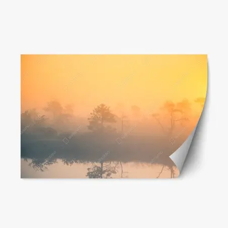 Pegatina reposicionable amanecer brumoso en el humedal – Pixers®