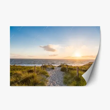 Pegatina reposicionable sendero hacia la playa al atardecer – Pixers®