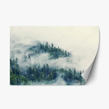 Pegatina reposicionable bosque místico entre la niebla – Pixers®