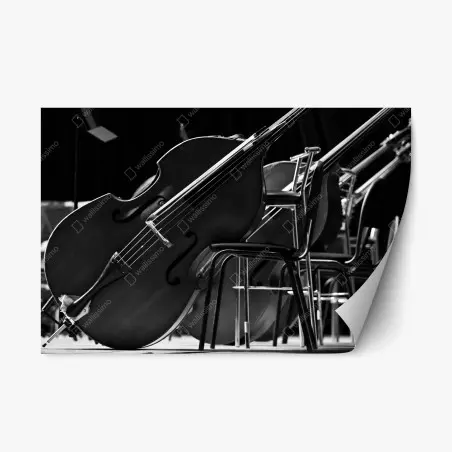 Pegatina reposicionable contrabajos en blanco y negro en sala de ensayo – Pixers®