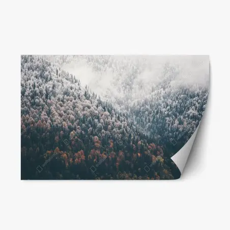 Pegatina reposicionable bosque otoñal entre niebla y nieve – Pixers®