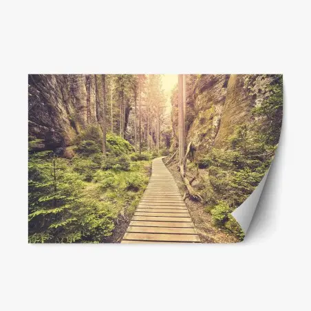 Pegatina reposicionable camino de madera entre rocas en Adrspach Teplice – Pixers®