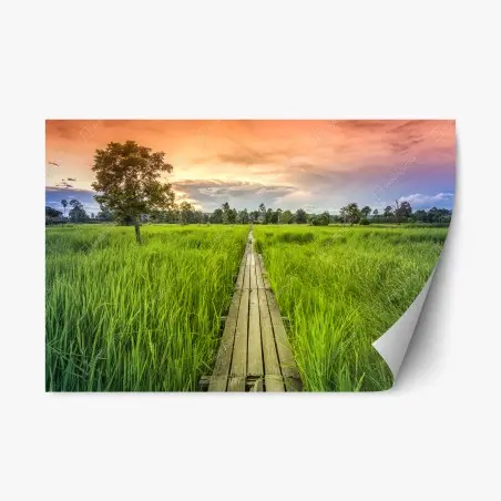 Pegatina reposicionable sendero de madera centenario entre arrozales en Khonburi, Nakhon Ratchasima, Tailandia – Pixers®