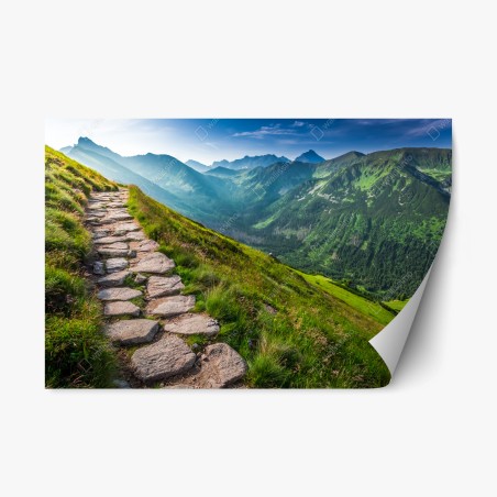 Pegatina reposicionable sendero panorámico en los Tatras, Polonia – Pixers®