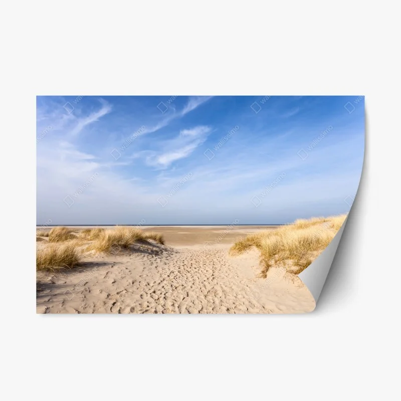Pegatina reposicionable dunas serenas en la costa de Alemania