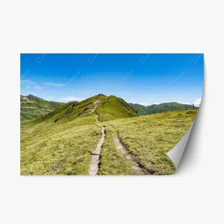 Pegatina reposicionable sendero serpenteante en los Alpes de Zillertal – Pixers®