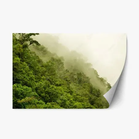 Pegatina reposicionable selva tropical brumosa en Cairns, Queensland – Pixers®