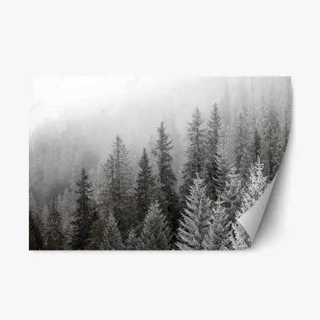 Pegatina reposicionable bosque invernal entre niebla en los Cárpatos, Ucrania – Pixers®
