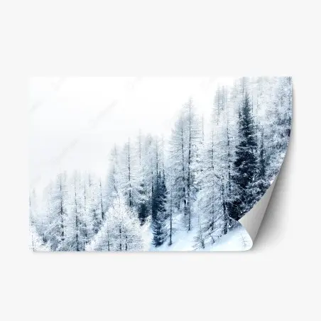 Pegatina reposicionable silencio invernal en el bosque nevado – Pixers®