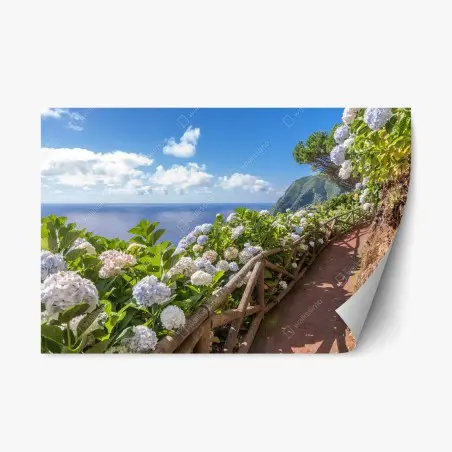 Pegatina reposicionable sendero costero con hortensias en Sao Miguel – Pixers®