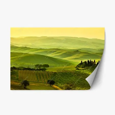 Pegatina reposicionable sueños de la Toscana: colinas doradas – Pixers®
