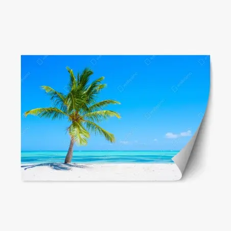Pegatina reposicionable playa tropical con palmera solitaria – Pixers®