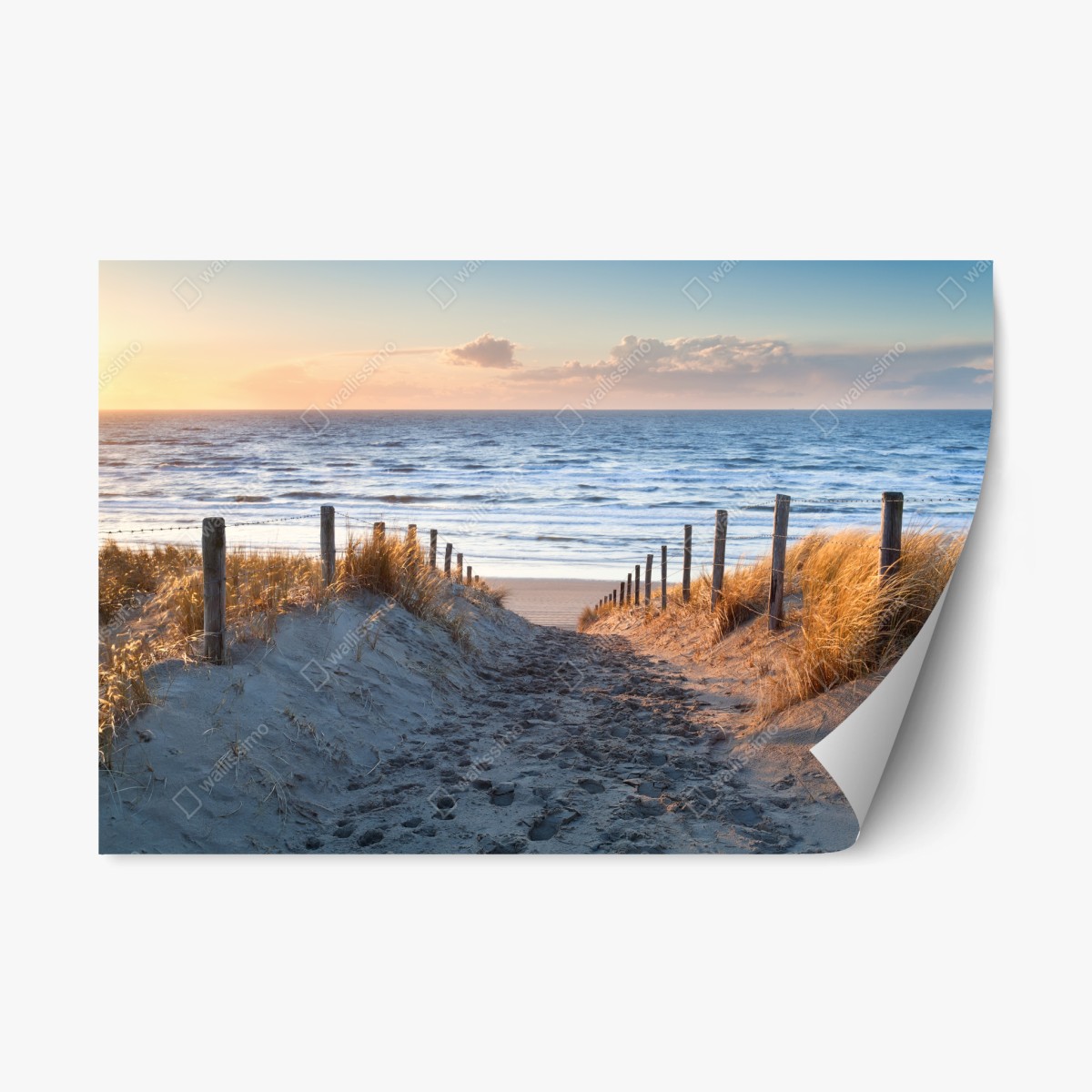 Pegatina reposicionable pasarela de dunas hacia el mar al atardecer – Pixers®