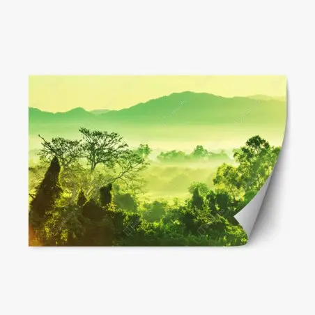 Pegatina reposicionable selva tropical de México al amanecer – Pixers®