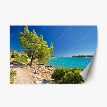 Pegatina reposicionable escapada turquesa en la isla de Murter, Croacia – Pixers®