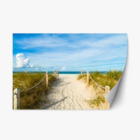 Pegatina reposicionable serenidad en South Beach, Miami – Pixers®