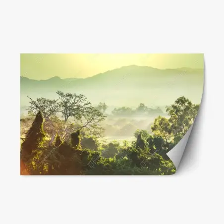 Pegatina reposicionable selva en Vietnam al amanecer – Pixers®