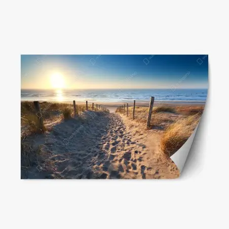 Pegatina reposicionable sendero de arena hacia el mar en Zandvoort – Pixers®