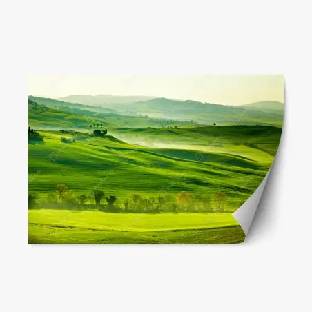 Pegatina reposicionable paisaje sereno de la Toscana – Pixers®