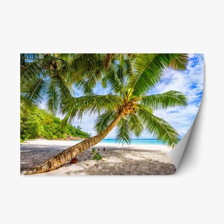 Pegatina reposicionable paraíso tropical con palmera inclinada – Pixers®