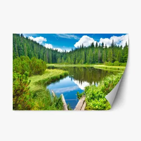 Pegatina reposicionable serenidad en el lago entre pinos – Pixers®