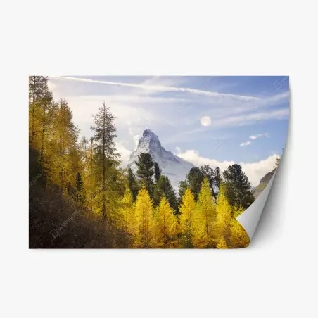 Pegatina reposicionable bosque dorado frente al Matterhorn – Pixers®