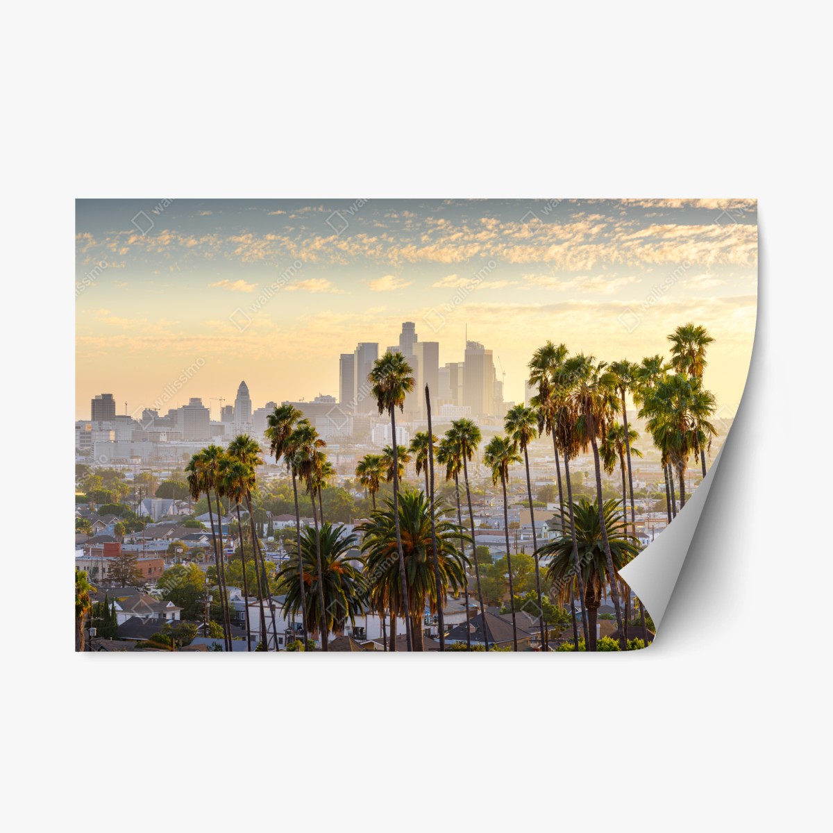Pegatina reposicionable amanecer sobre Los Ángeles con palmeras – Pixers®