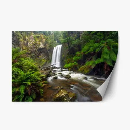 Pegatina reposicionable cascada en bosque de helechos – Pixers®