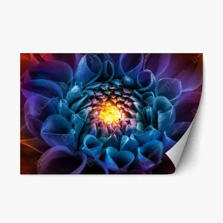 Pegatina reposicionable crisantemo macro multicolor con corazón luminoso – Pixers®