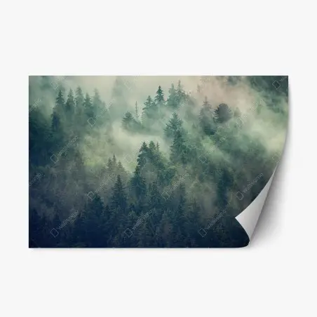 Pegatina reposicionable bosque envuelto en niebla – Pixers®