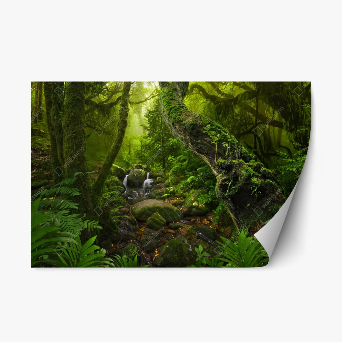 Pegatina reposicionable bosque místico con arroyo y musgo – Pixers® Pegatina reposicionable bosque místico con arroyo y musgo – Pixers®